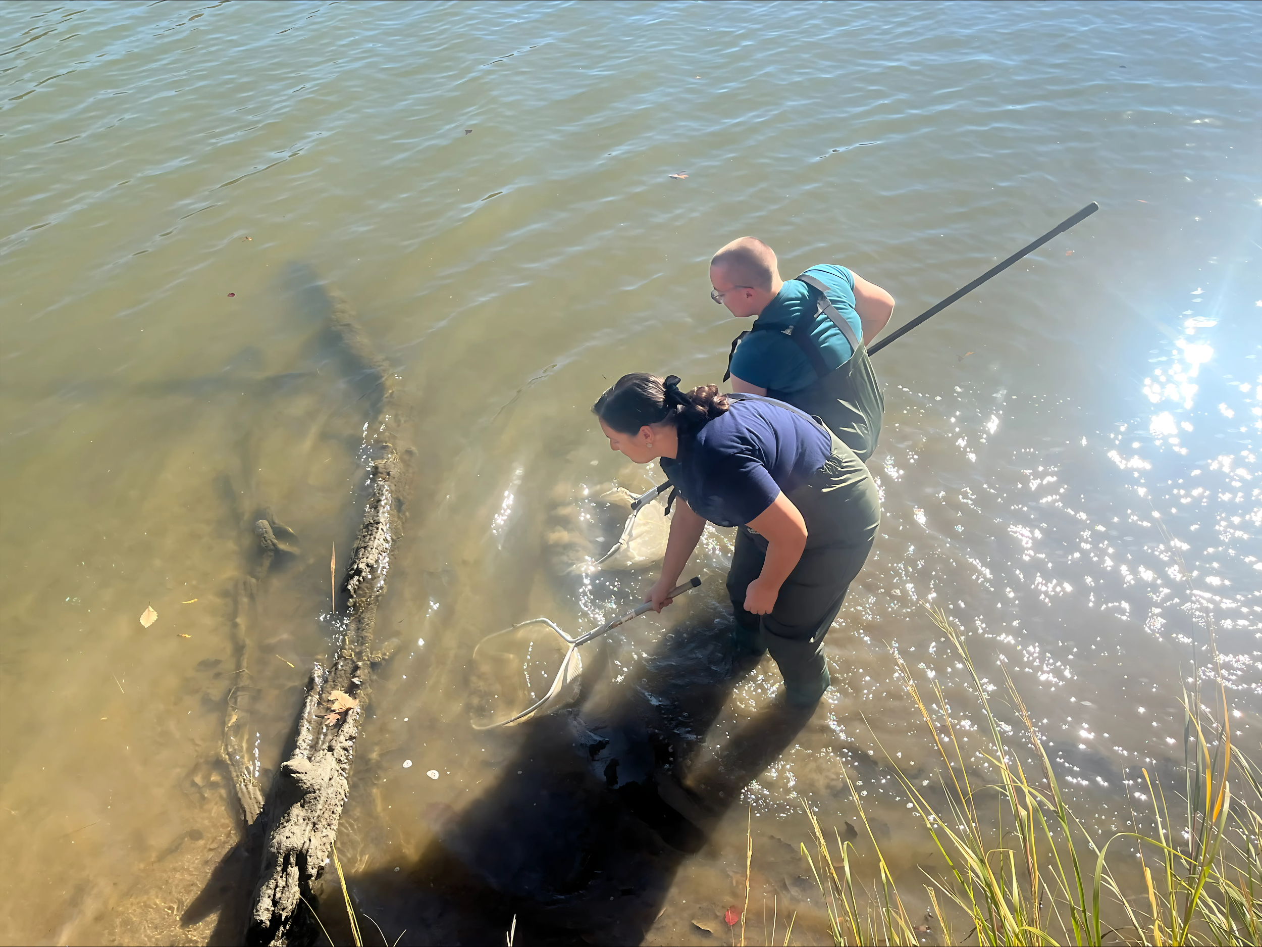 Aquatic Parasite Research