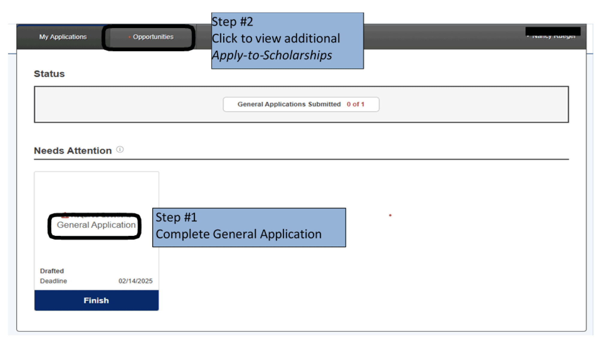 Scholarship Application Screen