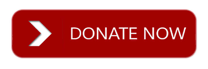 donate now