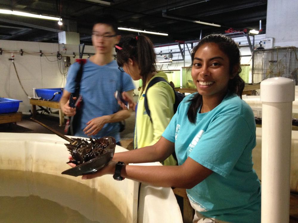 Ameera Khan in a wet lab