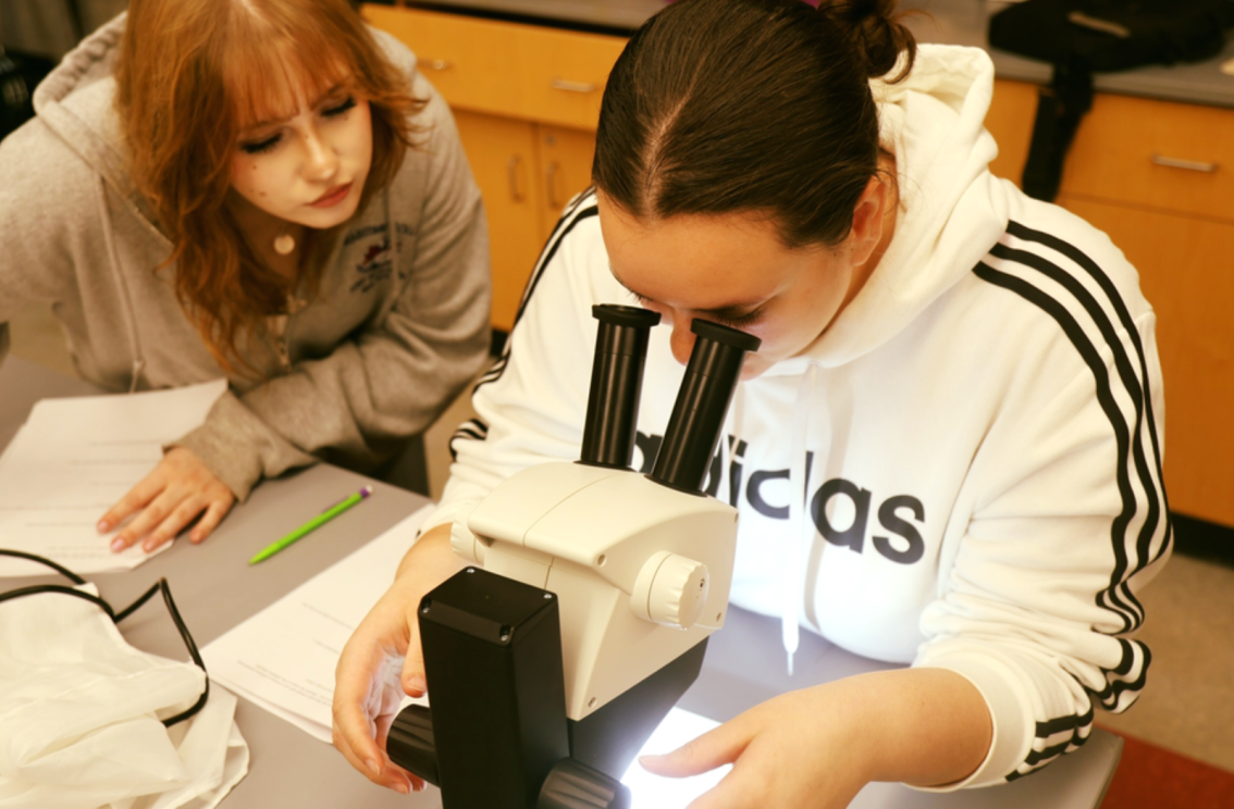 Students using microscope